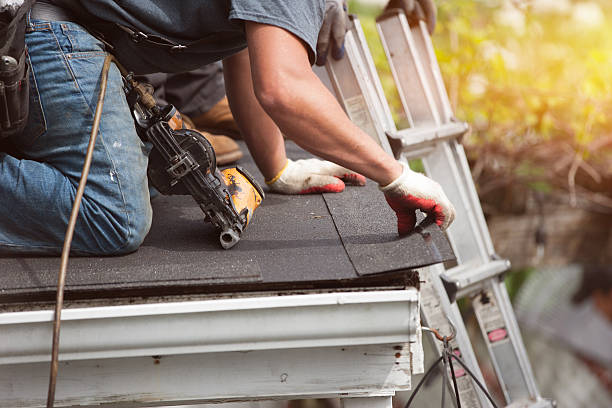 Best Roof Gutter Cleaning  in Crosspointe, VA